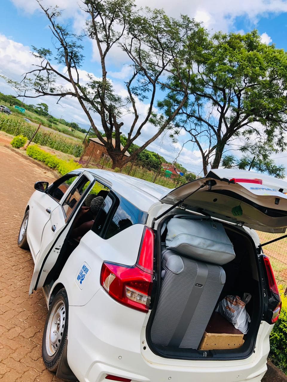 Long-Distance Transport